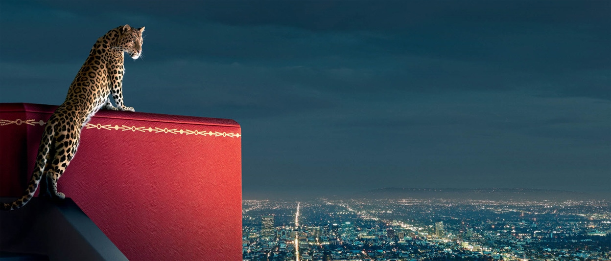 email verification banner