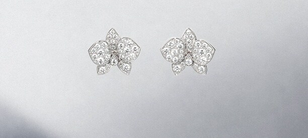Caresse d'Orchidées par Cartier<br>カレス ドルキデ パル カルティエ