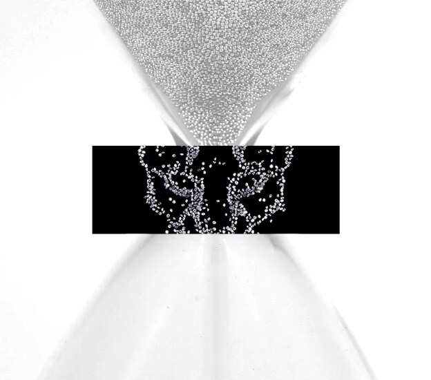 EP1 01 exceptional watches panthere SF