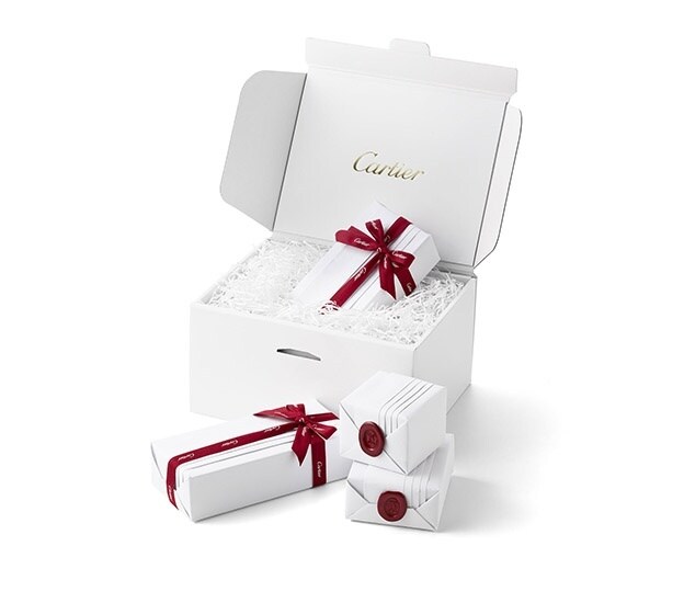 EP1 precious watches giftbox
