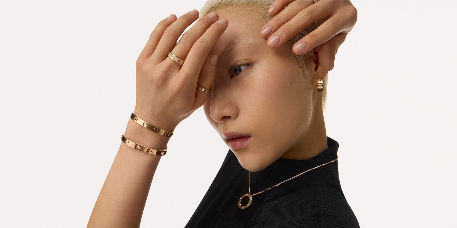 クラッシュ ドゥ カルティエ」新作モデル