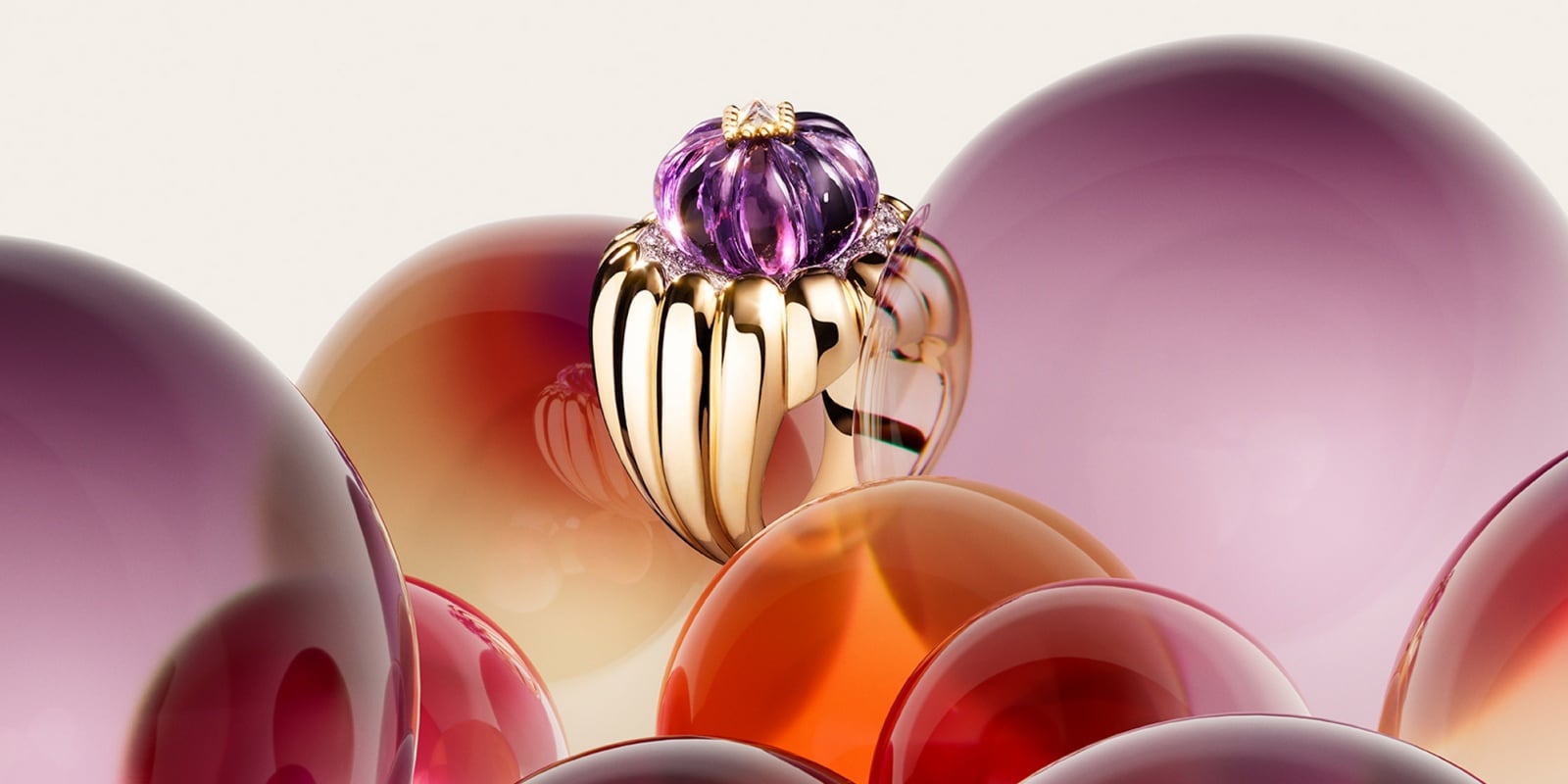 tuttitutti header