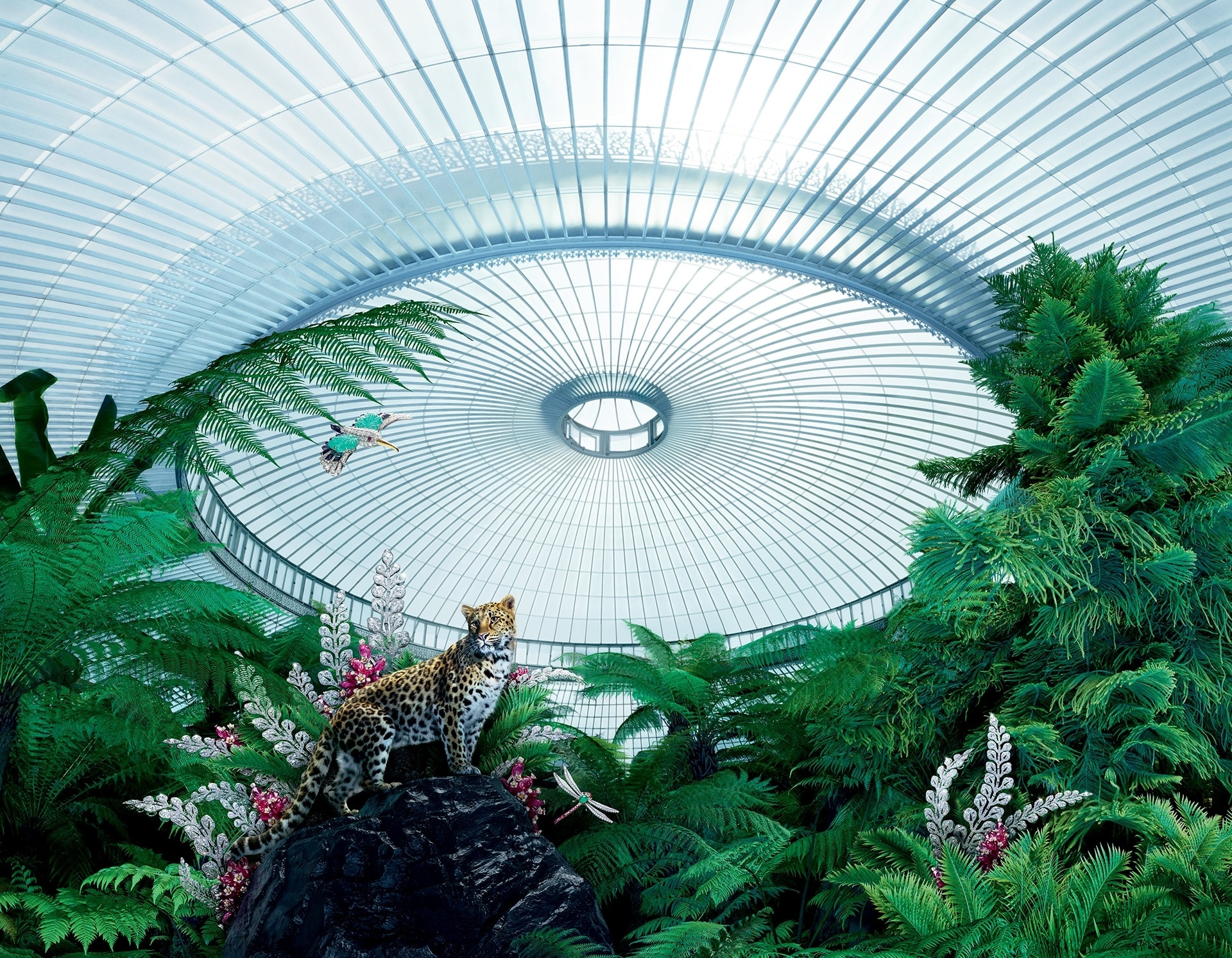 レア　最新ハイジュエリーカタログ 裸石 ファンシー グレーイッシュ バイオレット ダイヤモンド