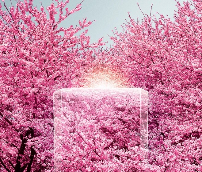 弾けんばかりの花の香り