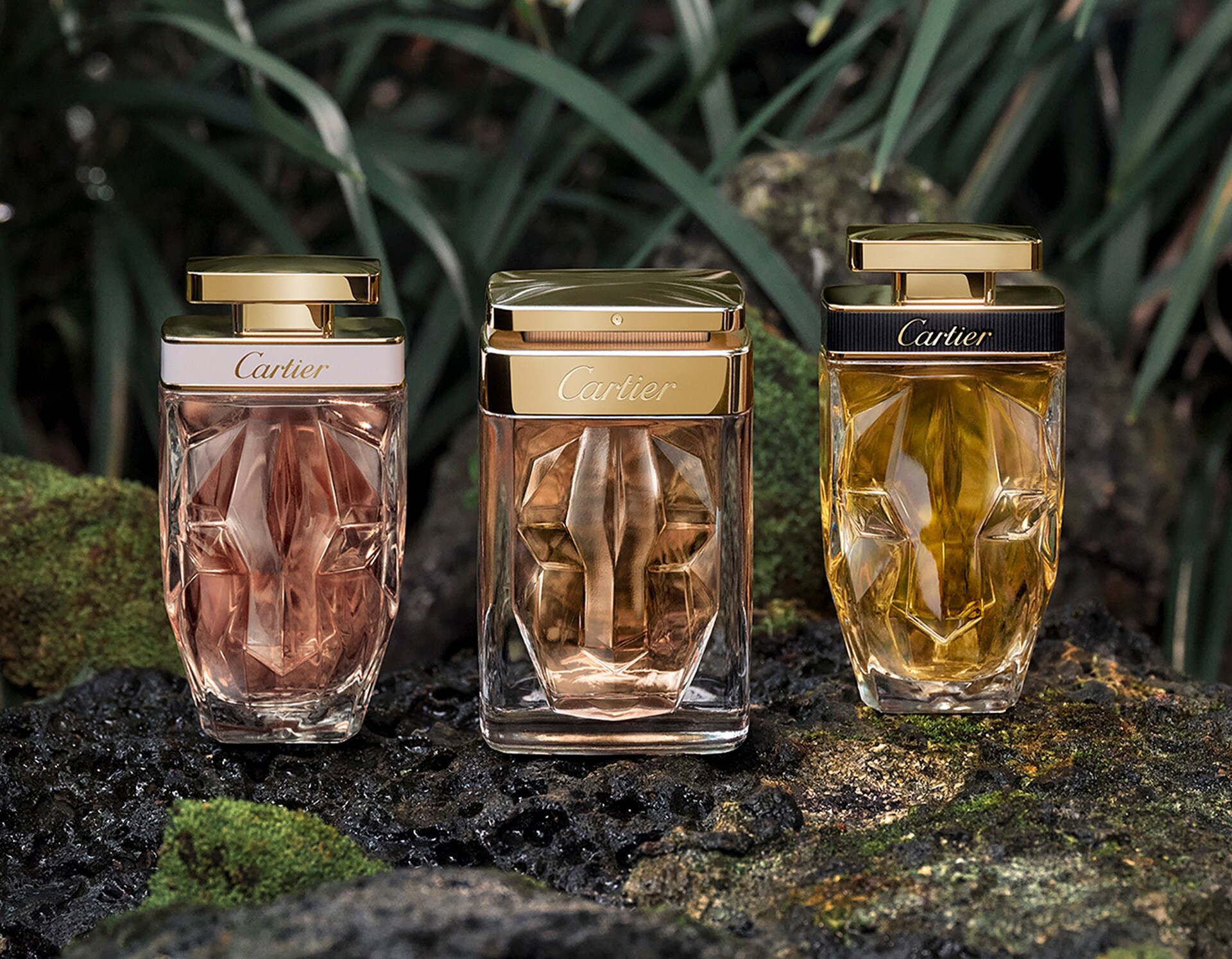 EP1 panthere parfum clp floral