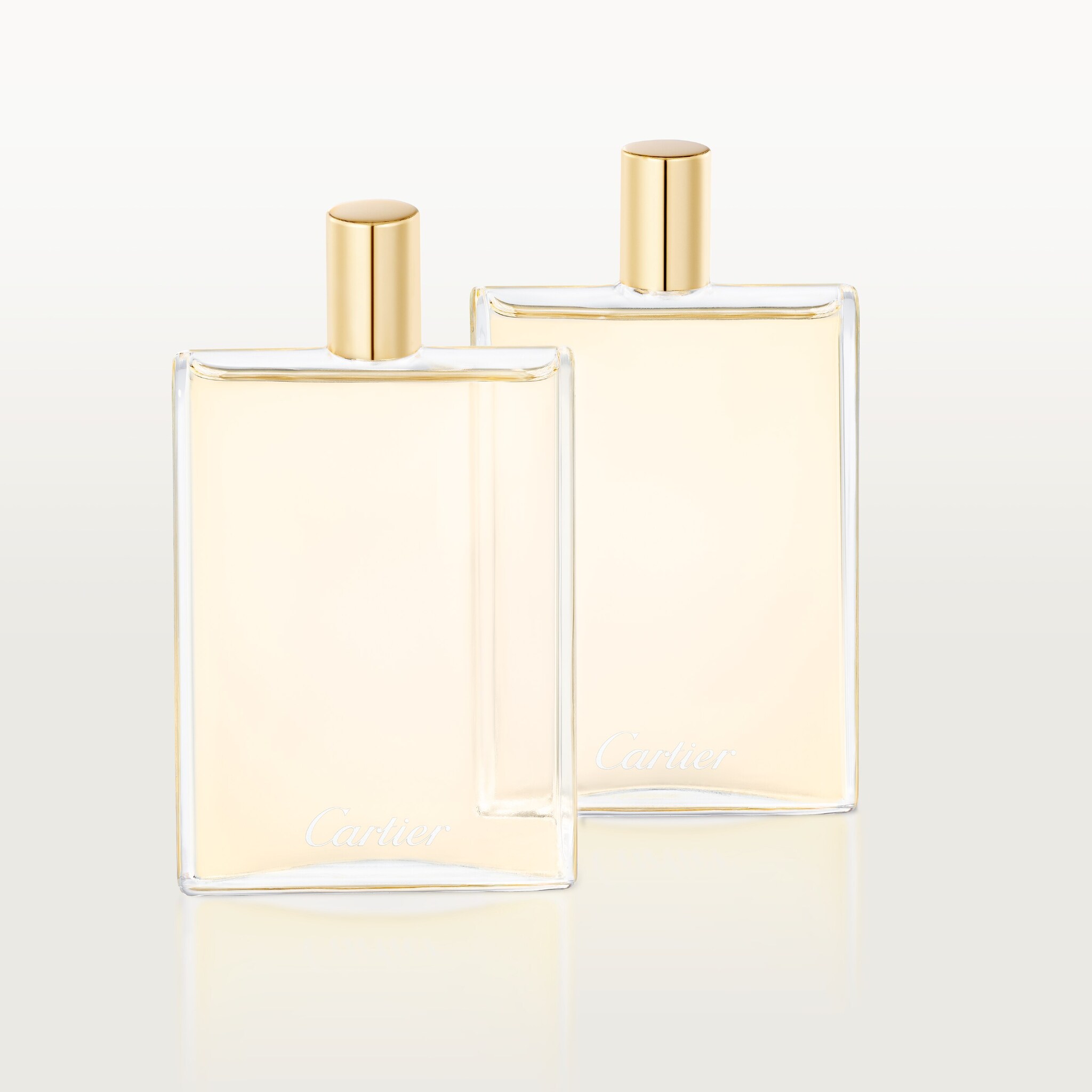 レ ネセセール ア パルファン パンテール 1987 オードパルファン リフィルパック 2 x 30 ml スプレー